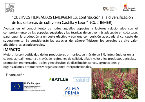 CULTIVOS HERBÁCEOS EMERGENTES: contribución a la diversificación de los sistemas de cultivo en Castilla y León (CULTIEMER)